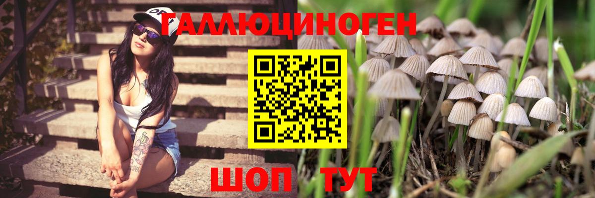 что такое наркотик  Псилоцибиновые грибы Cubensis  Галлюциногенные грибы Psilocybe  Вход с VPN  Магнитогорск 