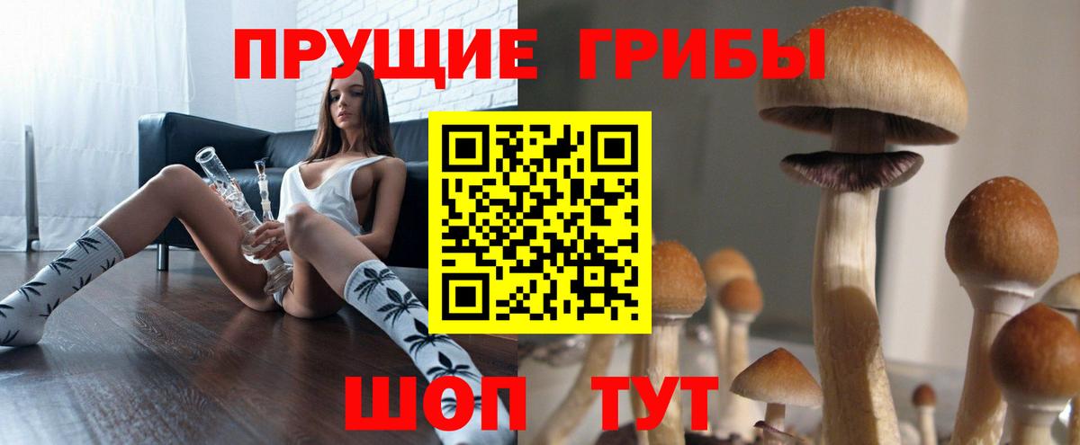 Псилоцибиновые грибы прущие грибы Магнитогорск